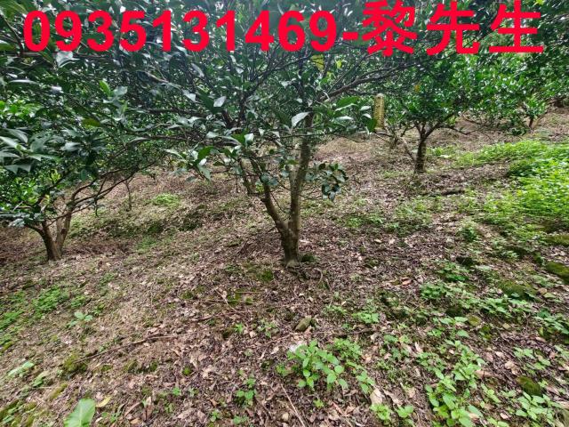 北埔農地-2
