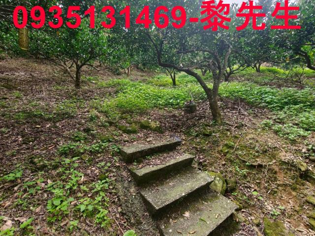 北埔農地-3