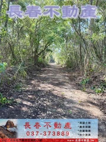 苗栗市農地-1