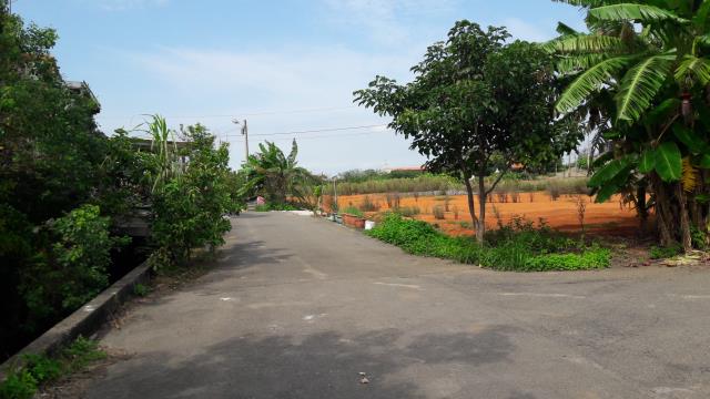 桃園農地-0