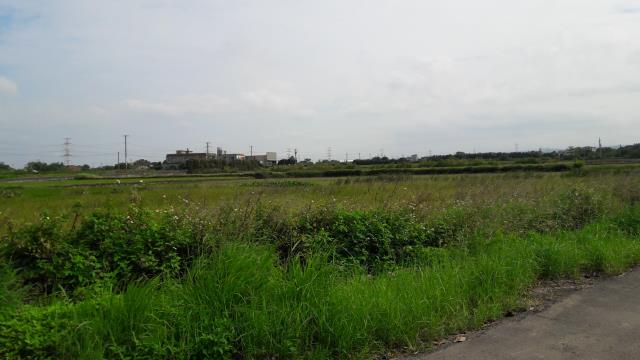 桃園農地-1