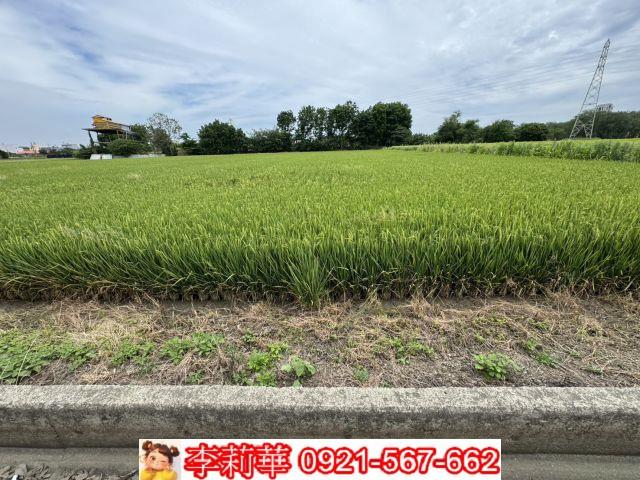台南農地-5