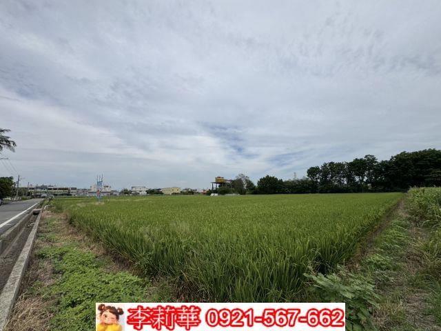 台南農地-6