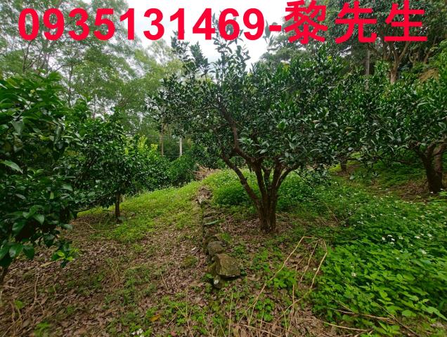 新竹北埔農地-11