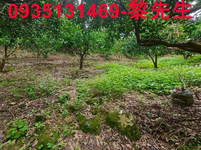 新竹北埔農地-13