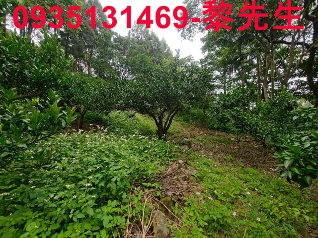新竹北埔農地-8
