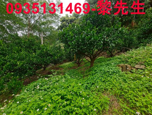 新竹北埔農地-9