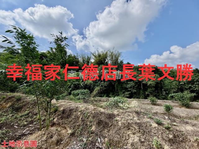 台南關廟農地-10