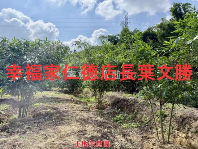 台南關廟農地-11