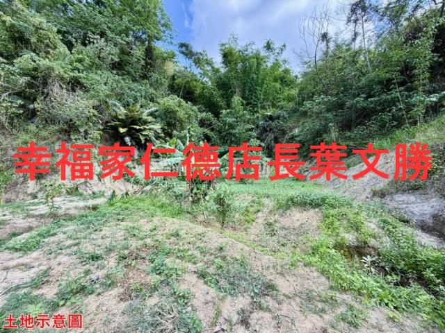 台南關廟農地-13