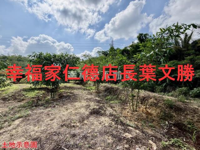 台南關廟農地-1