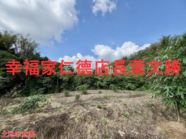 台南關廟農地-3