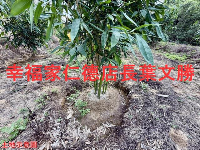 台南關廟農地-6