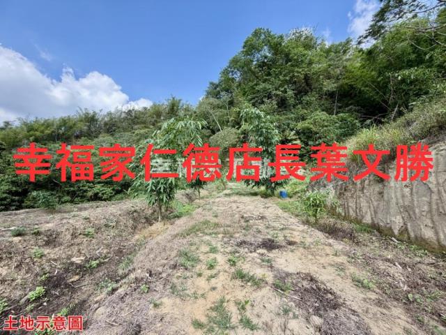 台南關廟農地-7