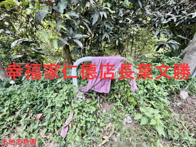 台南關廟農地-8