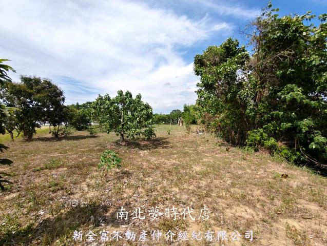 台南玉井農地-10