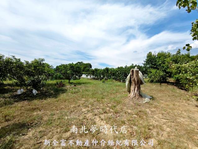 台南玉井農地-11