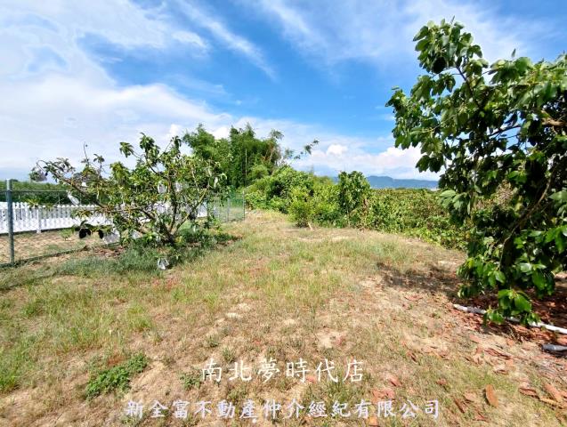 台南玉井農地-13