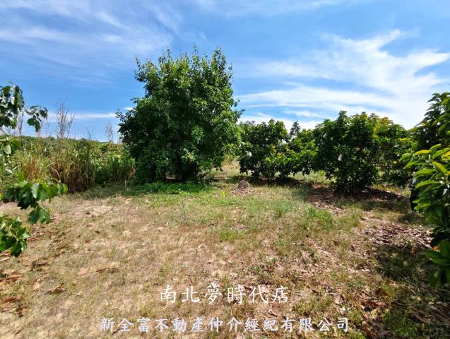 台南玉井農地-14