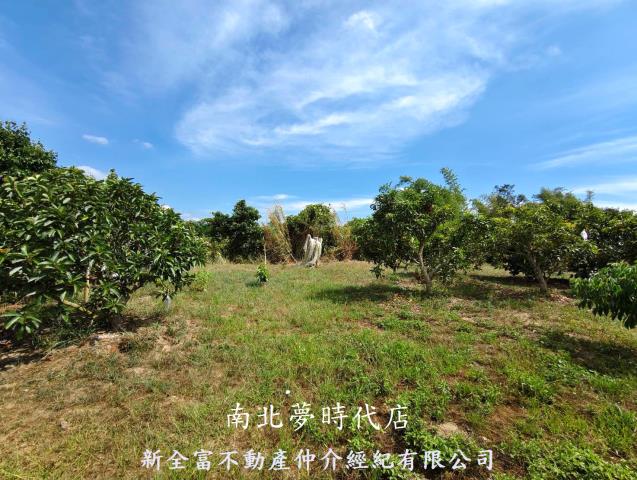 台南玉井農地-0