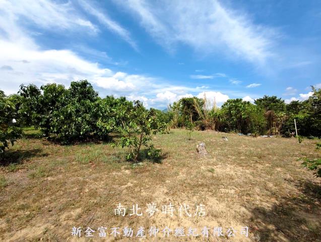 台南玉井農地-5