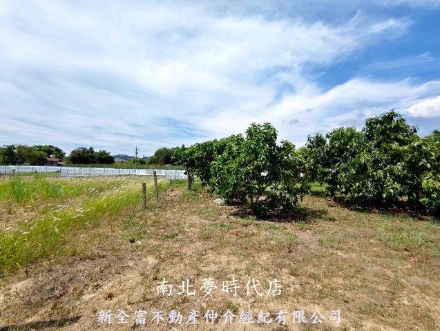 台南玉井農地-8