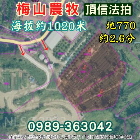 嘉義梅山農地拍賣-3