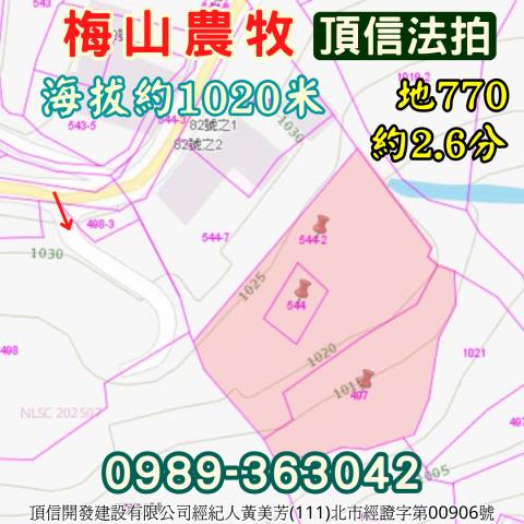 嘉義梅山農地拍賣-4