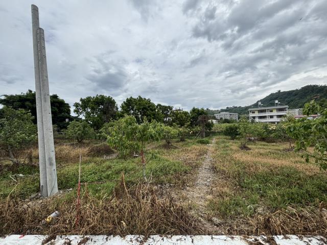 台中東勢農地-3
