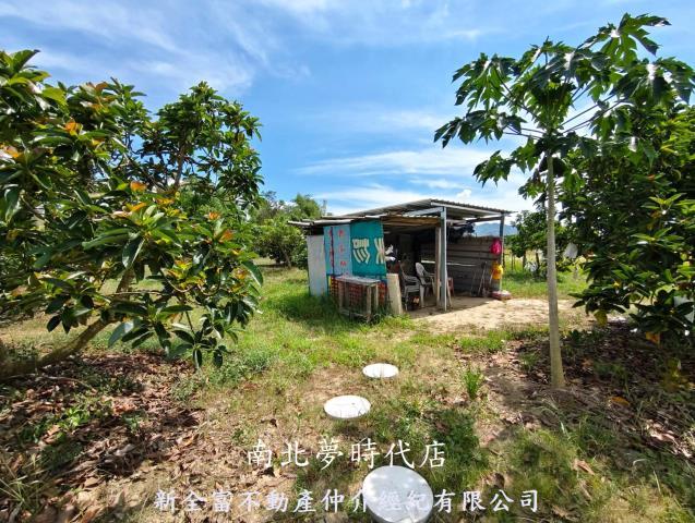 玉井農地-6