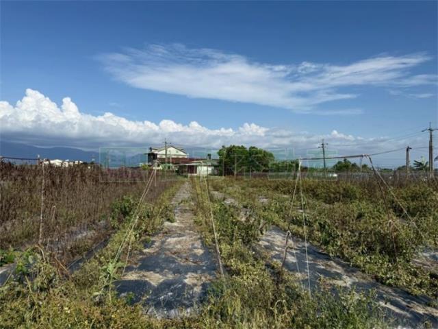 美濃農地-11