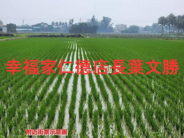 白河農地-13