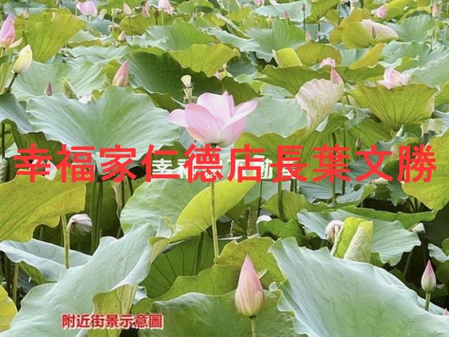 白河農地-5