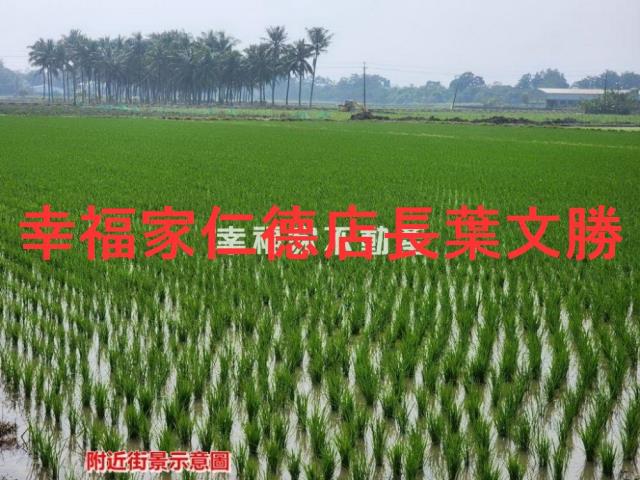 白河農地-6