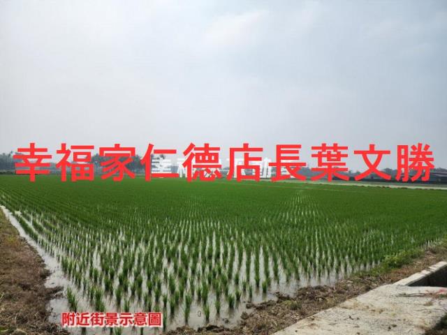 白河農地-8