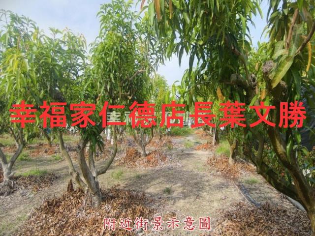 官田農地-4