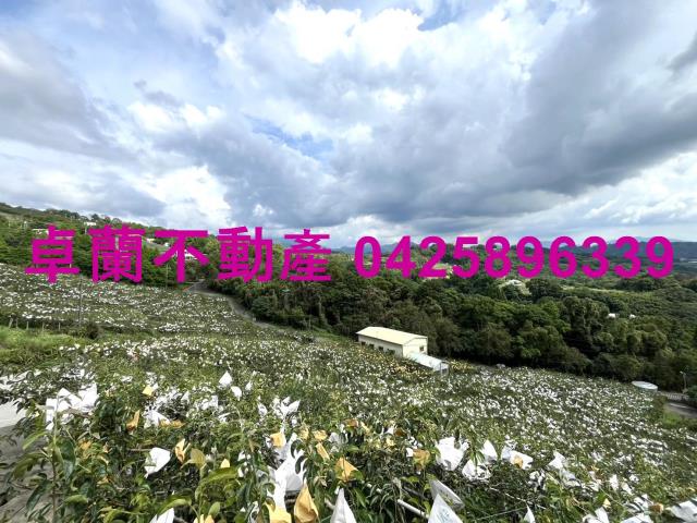 卓蘭農地-3
