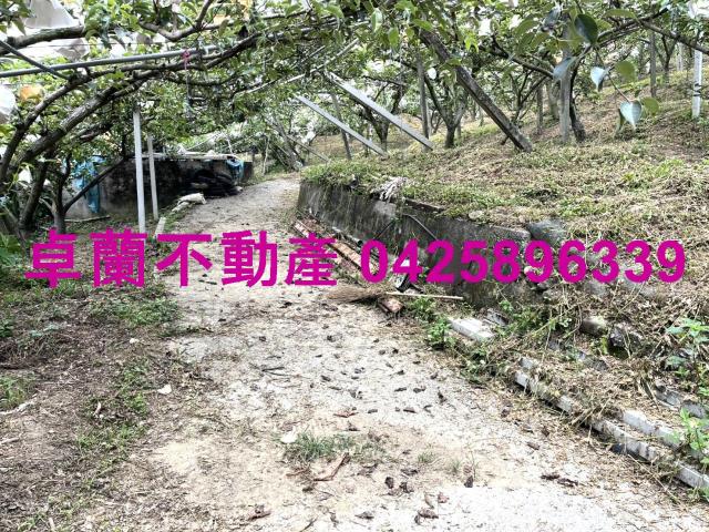 卓蘭農地-6