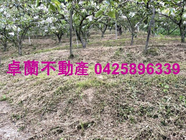 卓蘭農地-8