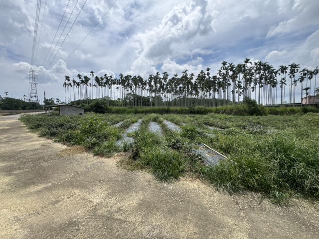 名間農地-1
