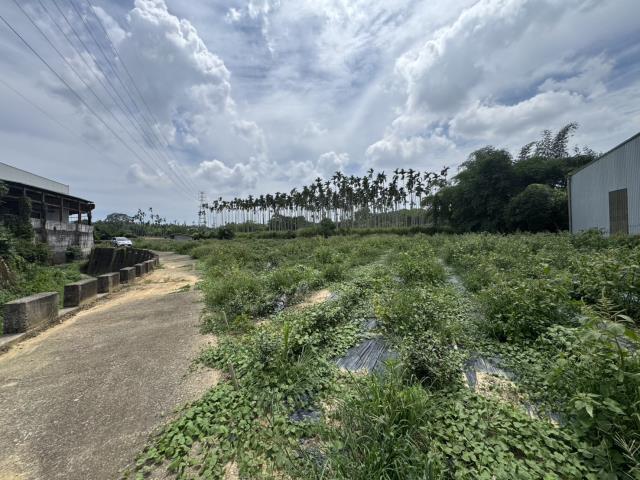 名間農地-3