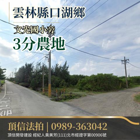 口湖農地拍賣-0