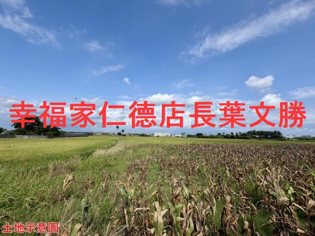 仁德農地-3