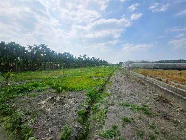 屏東農地-13