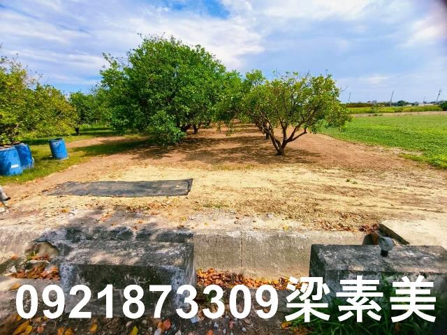 台南佳里農地-10