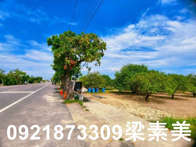 台南佳里農地-1