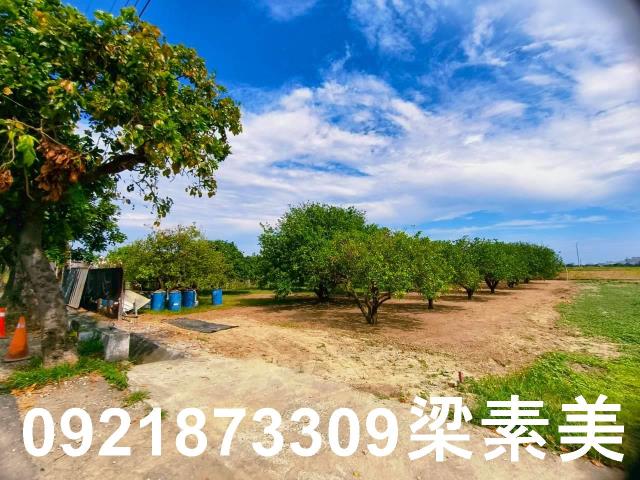 台南佳里農地-2