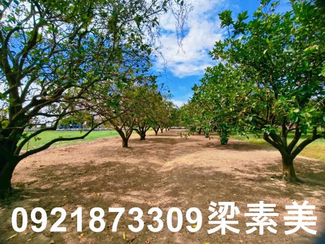 台南佳里農地-6