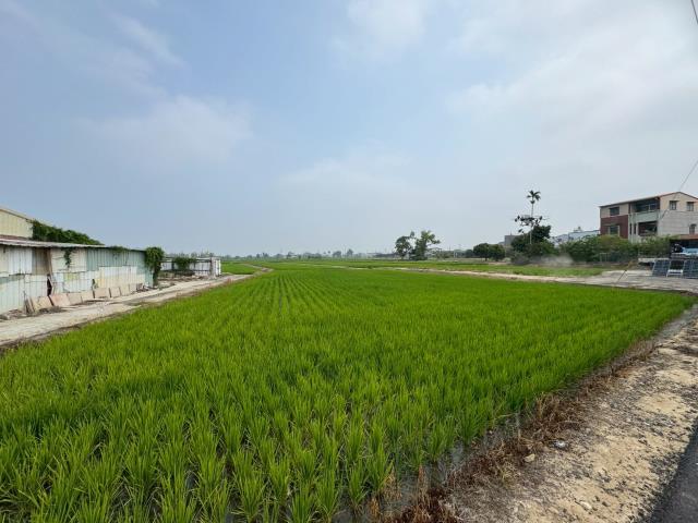 嘉義民雄農地-1