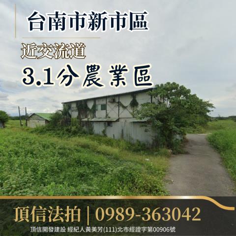 台南新市拍賣農地-0